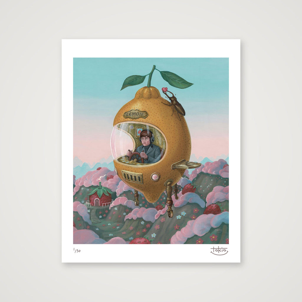 STRAWBERRY FIELDS — 28×35cm, 11×14" Print only