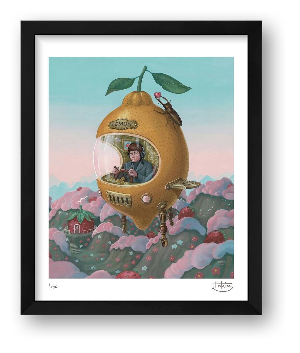 STRAWBERRY FIELDS — framed